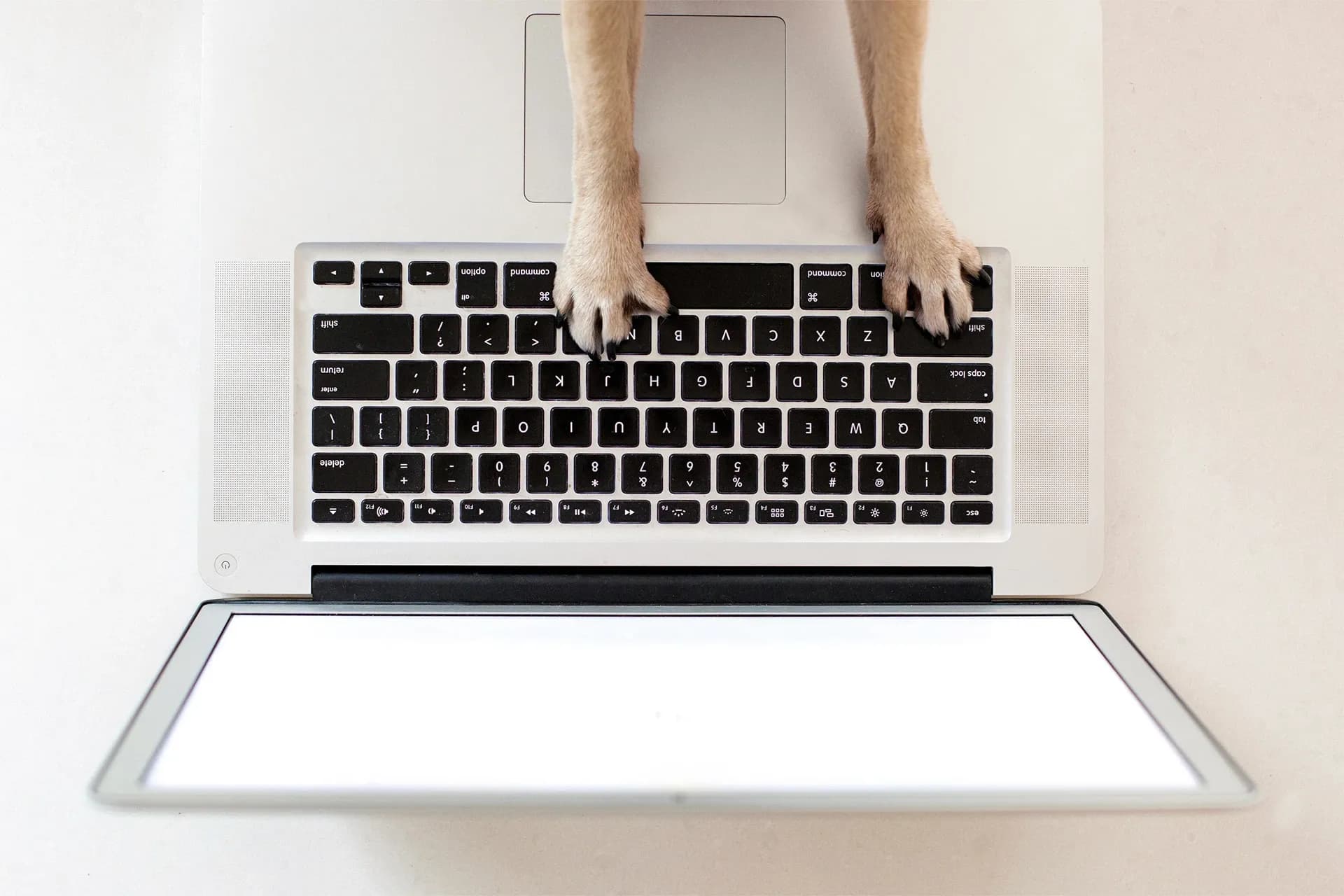 Building No-Code Apps Like a Pro: Are Your Data Layer Practices Up to Developer Standards?