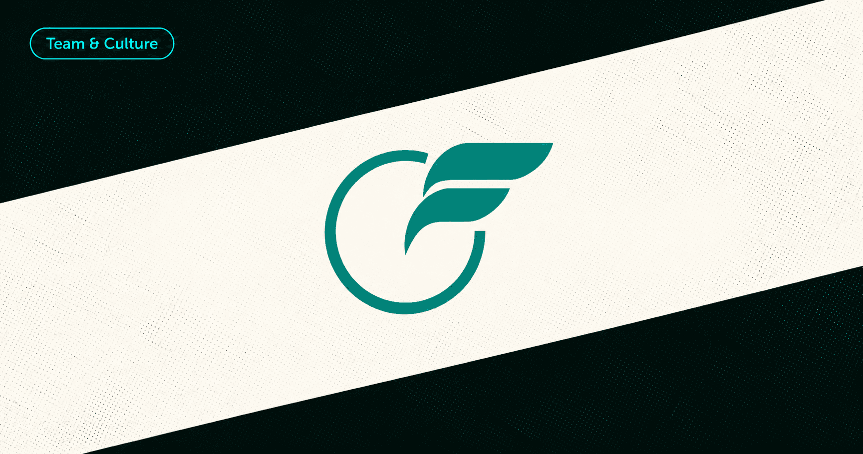 flywheel-studio-is-coming-to-ffdc